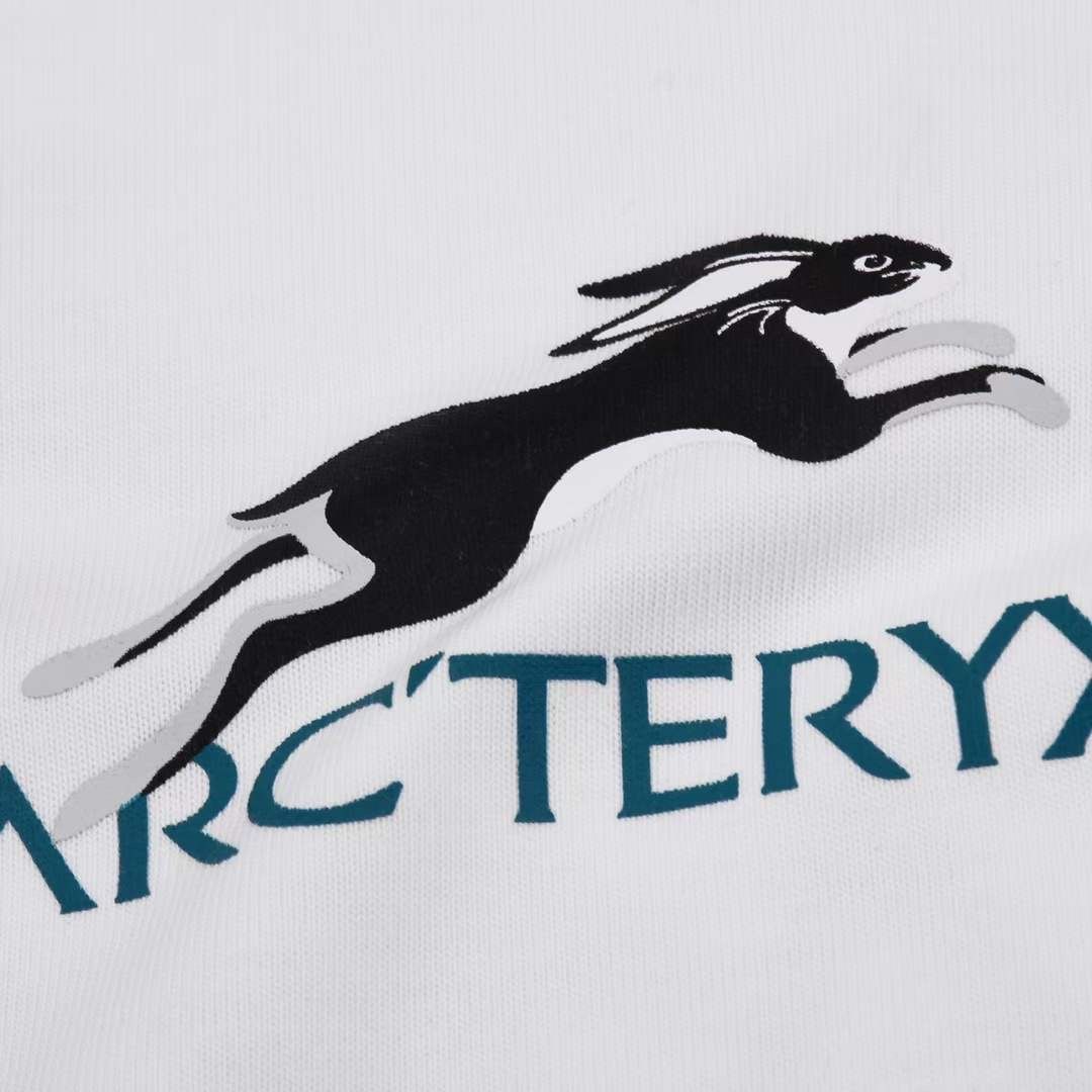 Футболка Arteryx с лого